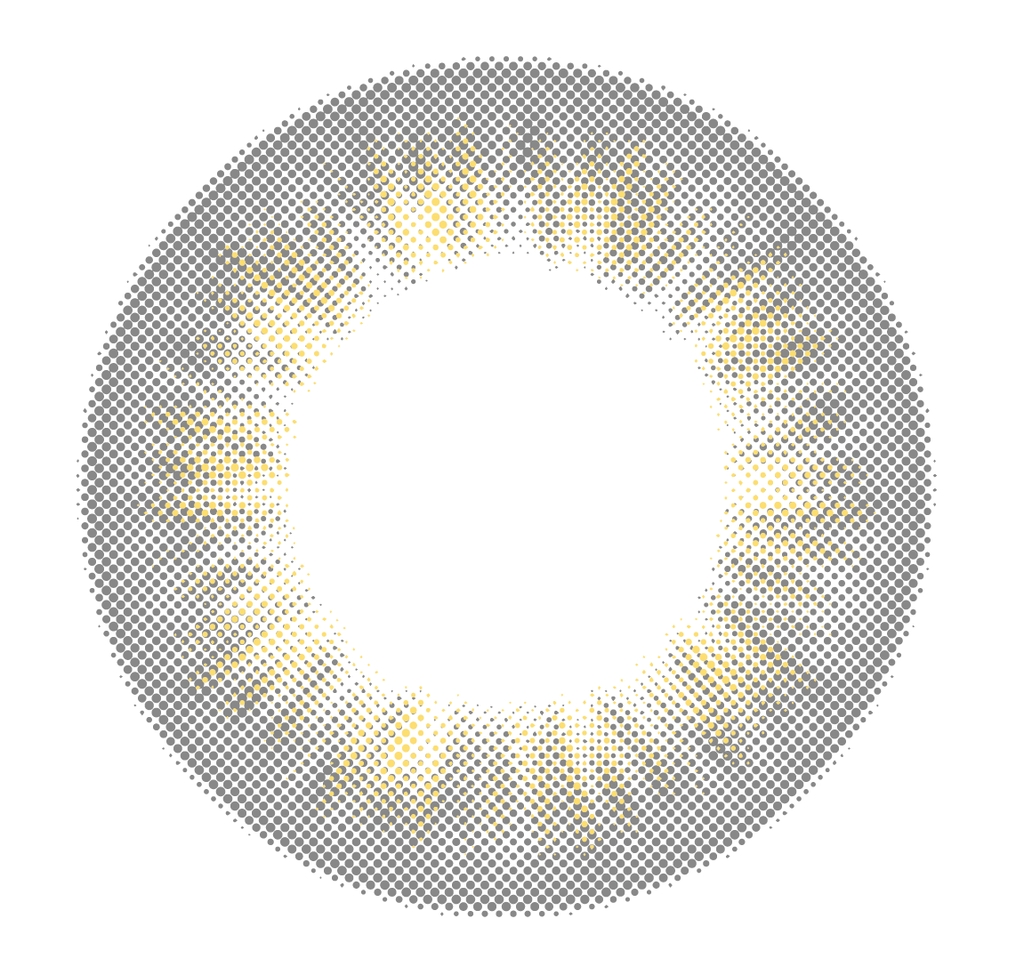 lens-icon