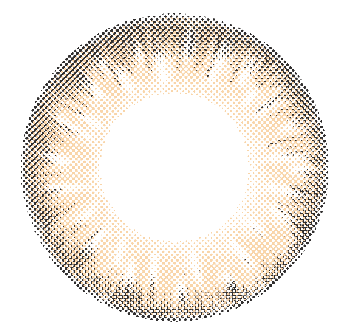 lens-icon