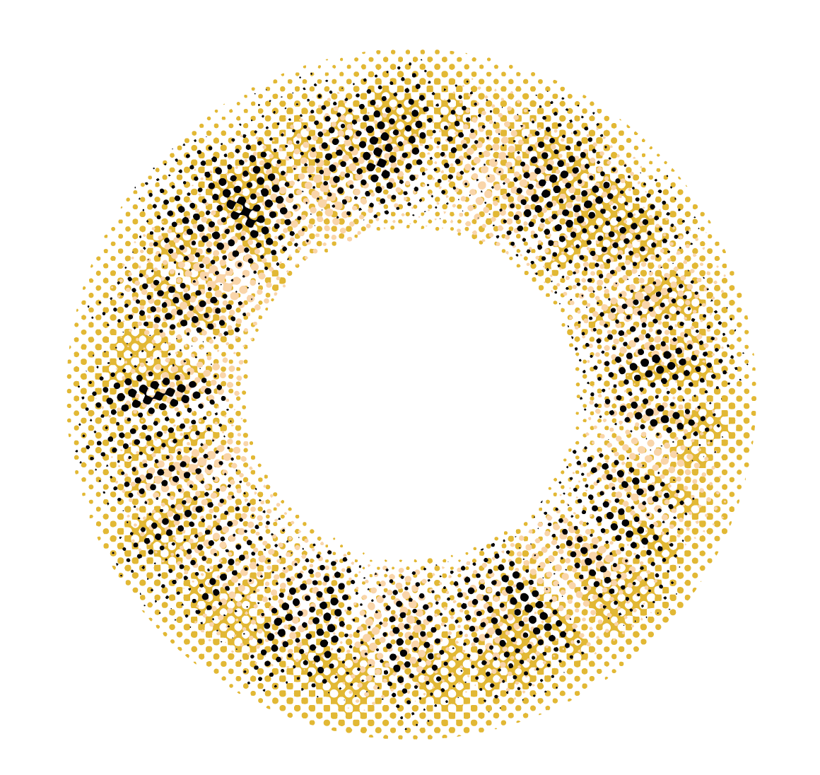 lens-icon