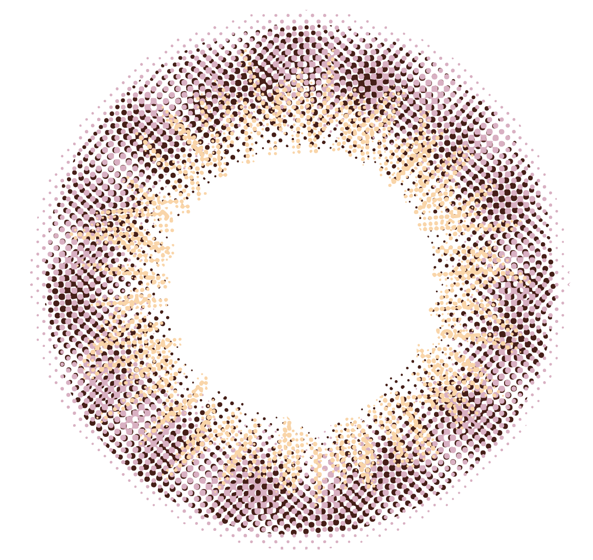 lens-icon