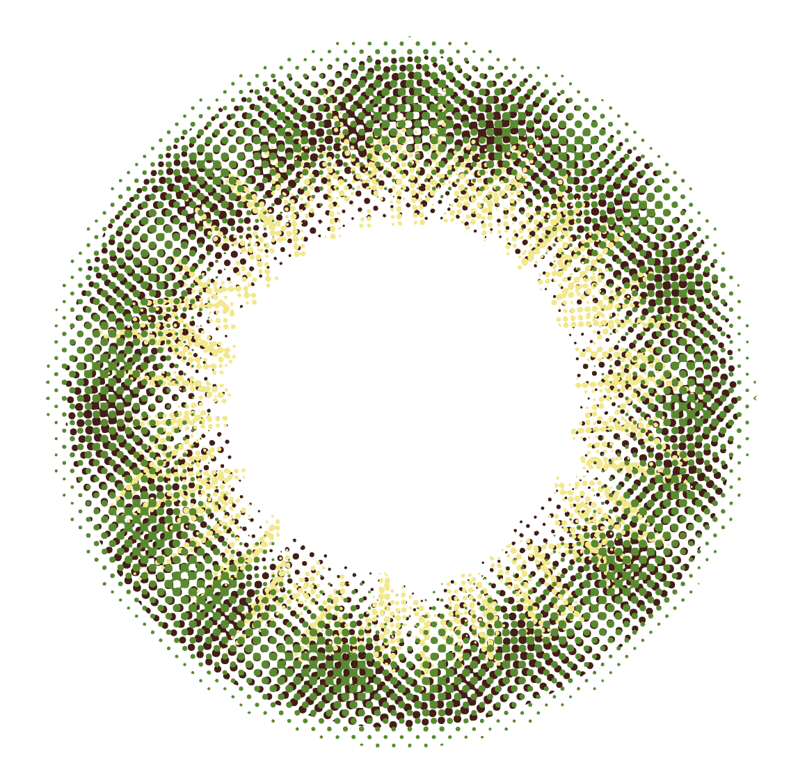 lens-icon