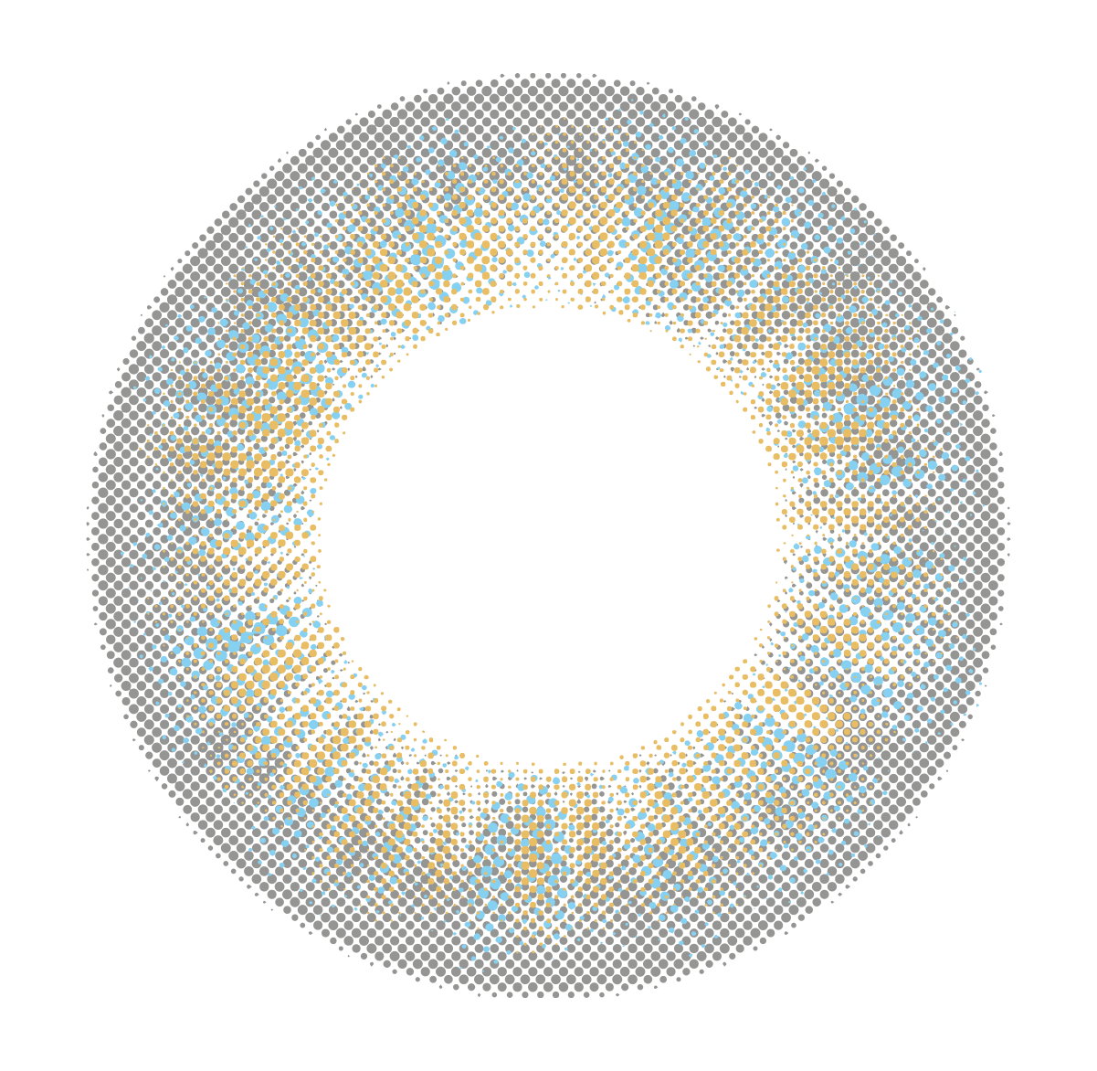 lens-icon
