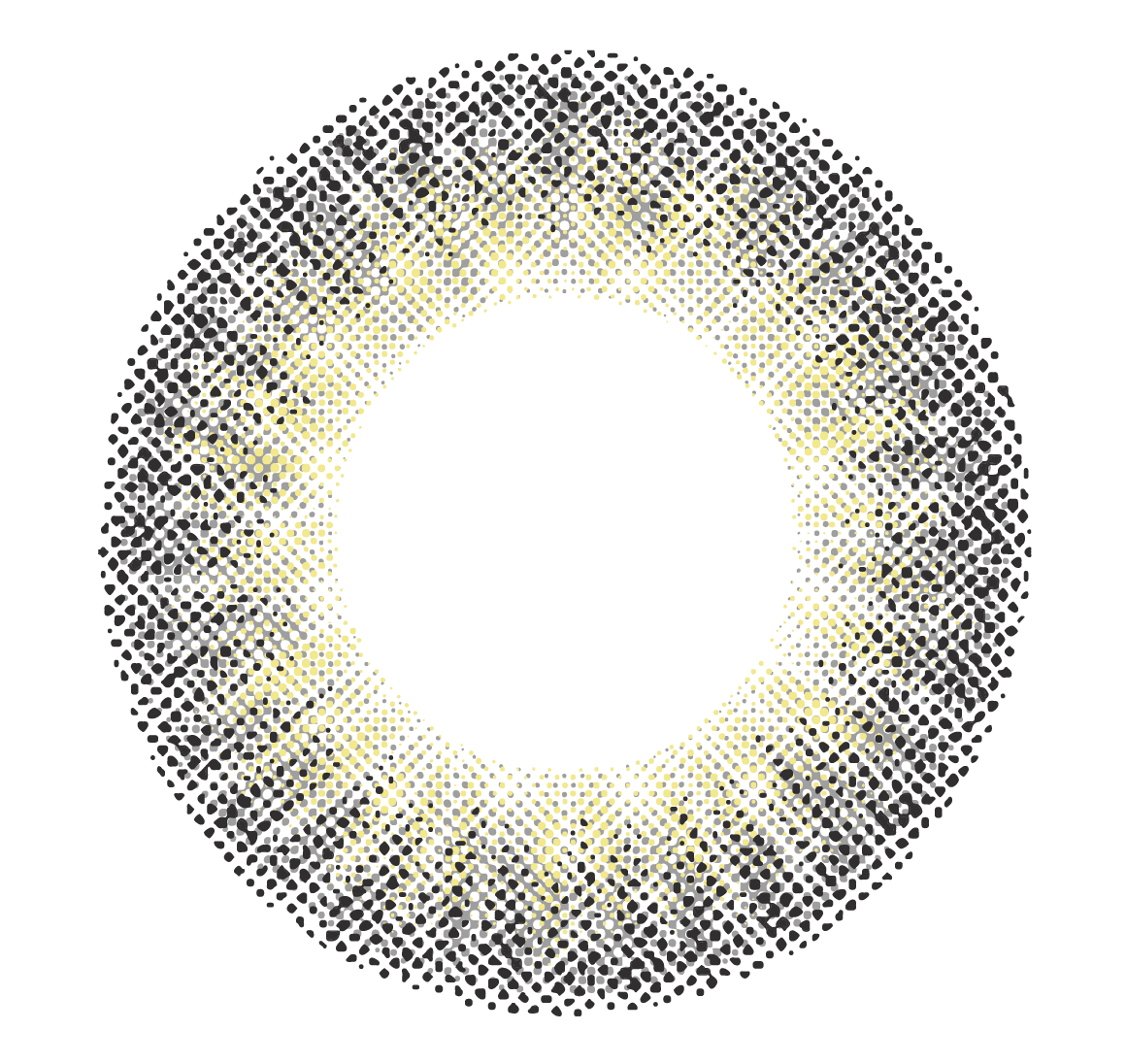 lens-icon