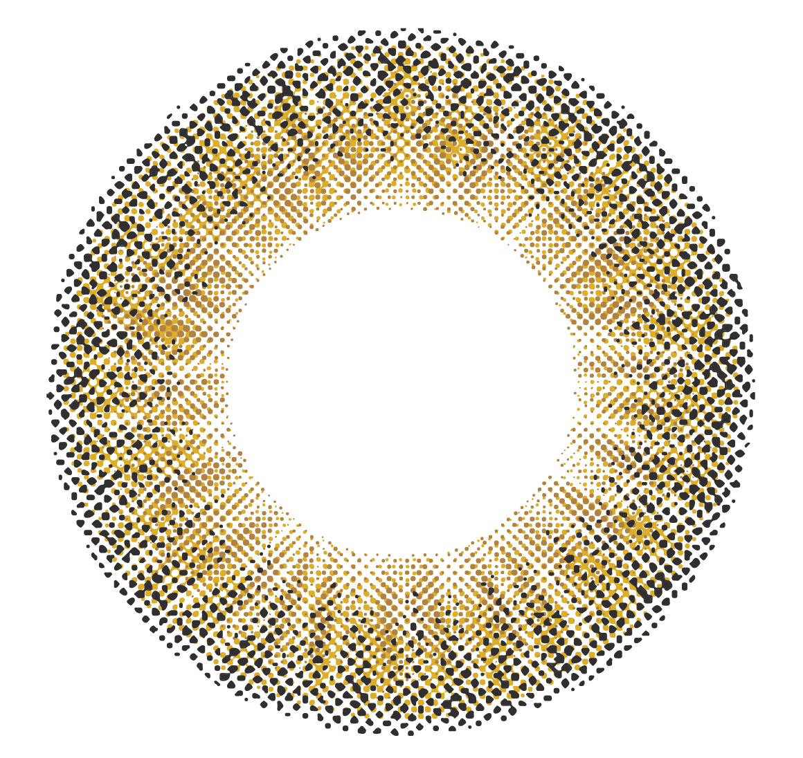 lens-icon