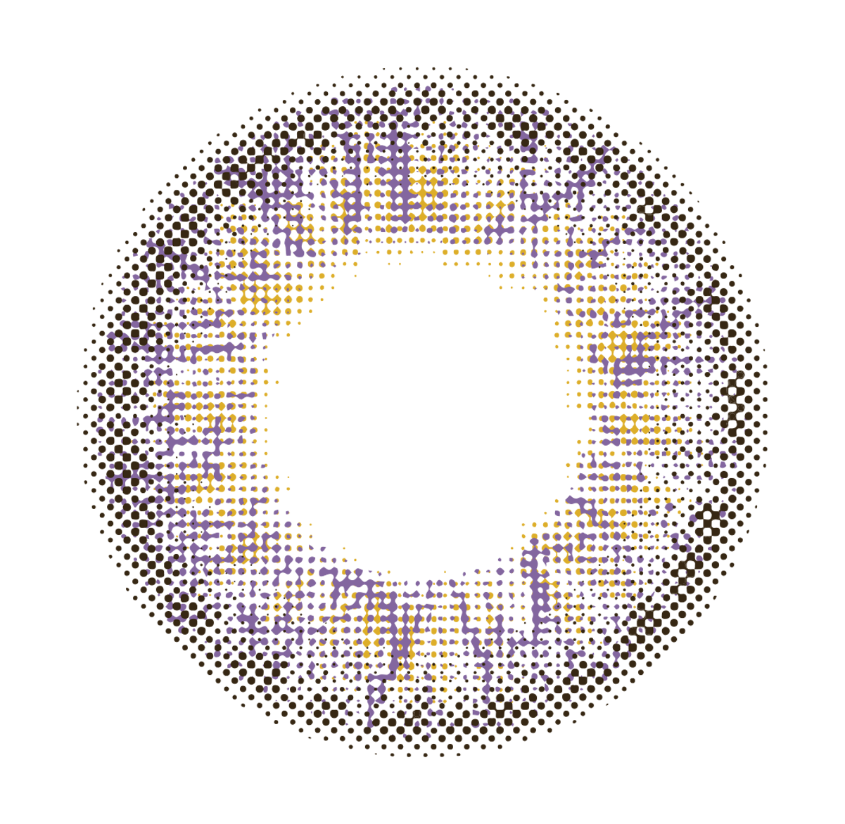 lens-icon