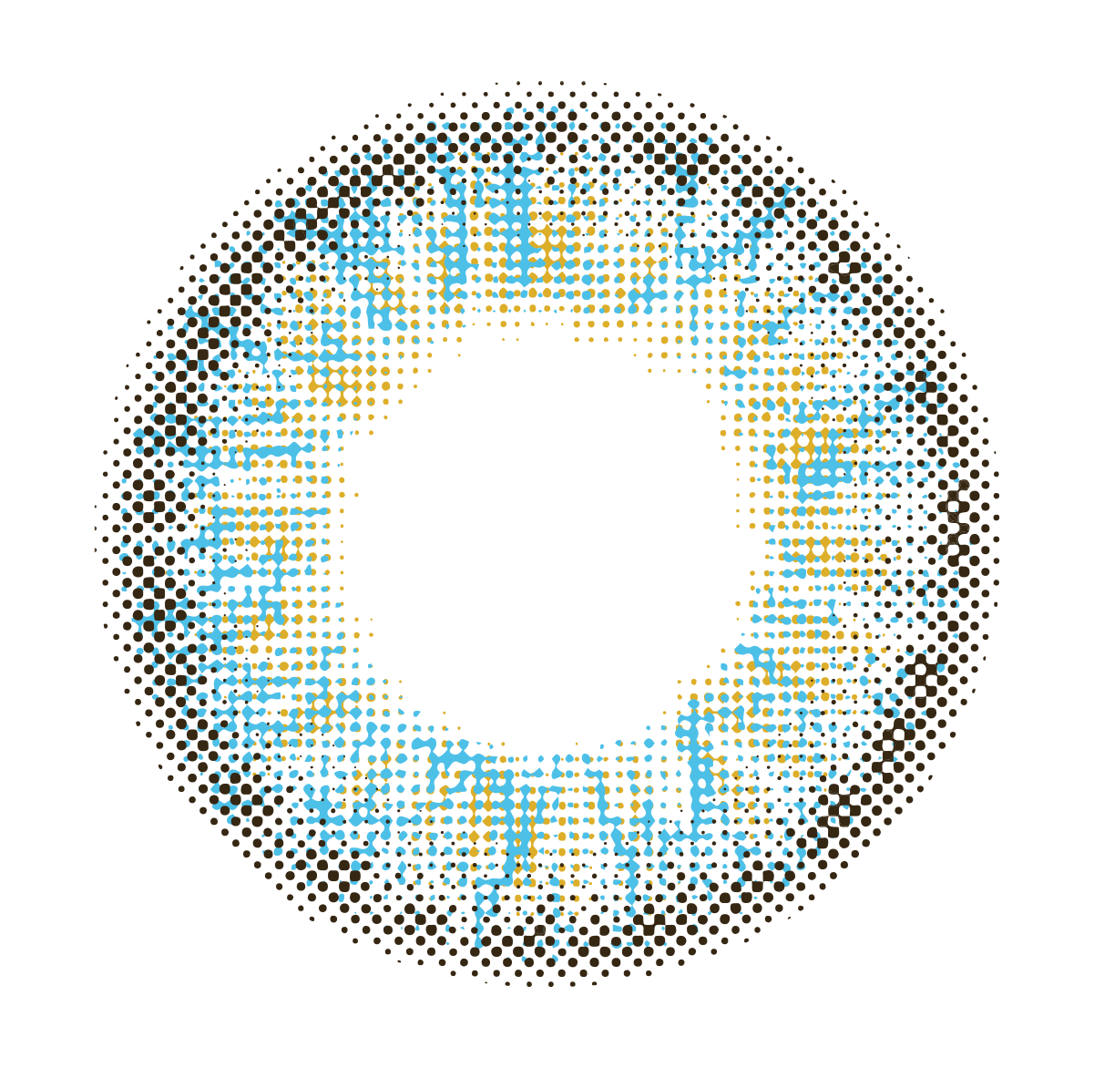 lens-icon