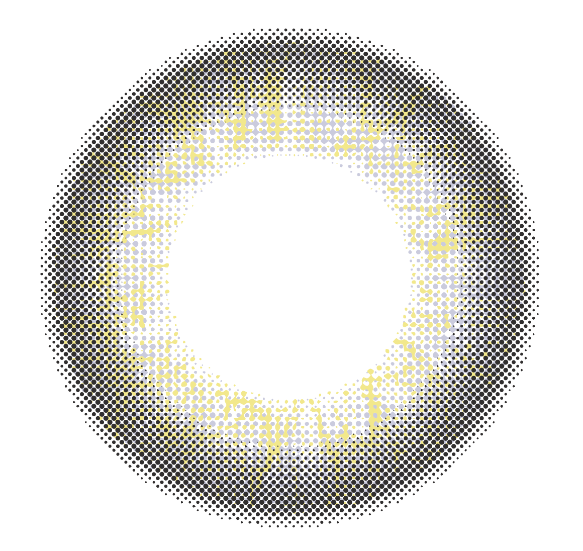 lens-icon
