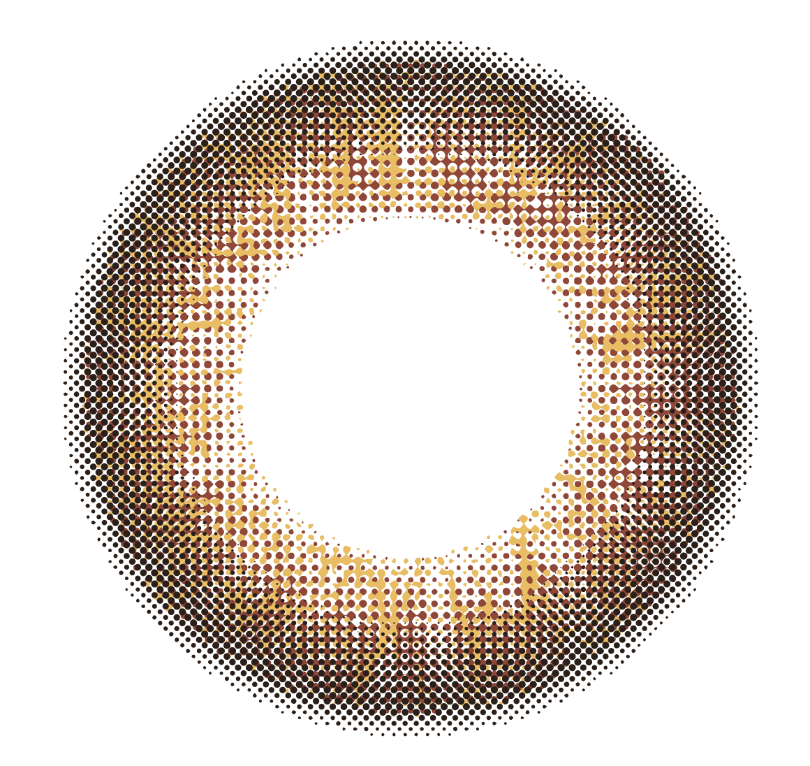 lens-icon