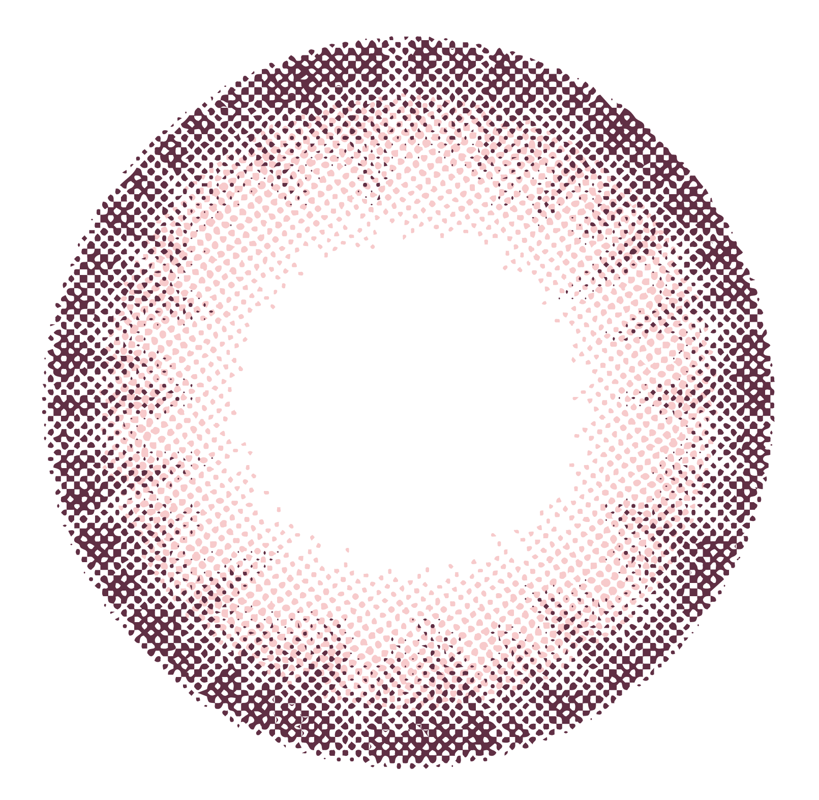 lens-icon